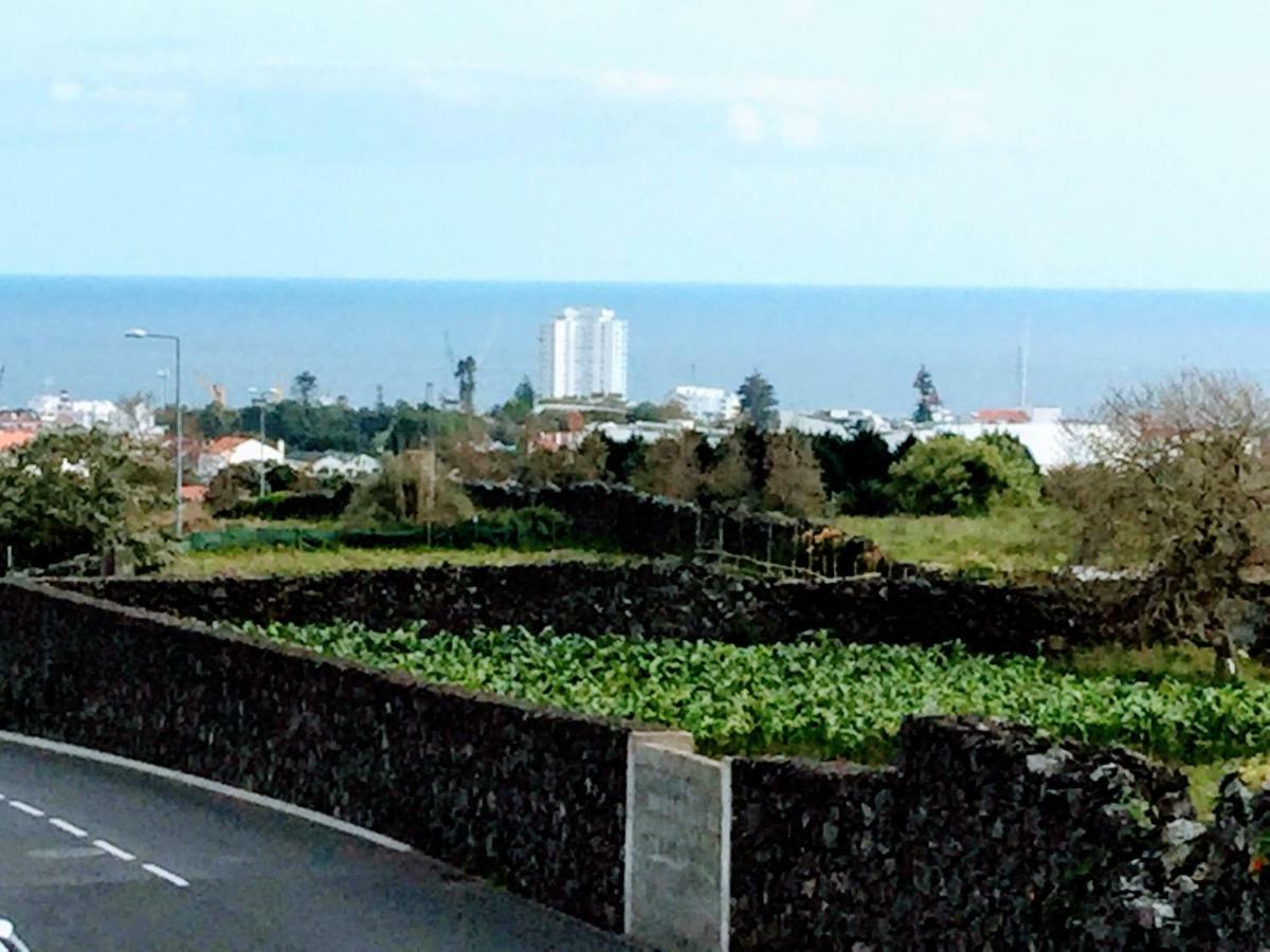 Apartamento Do Parque Leilighet Ponta Delgada Eksteriør bilde